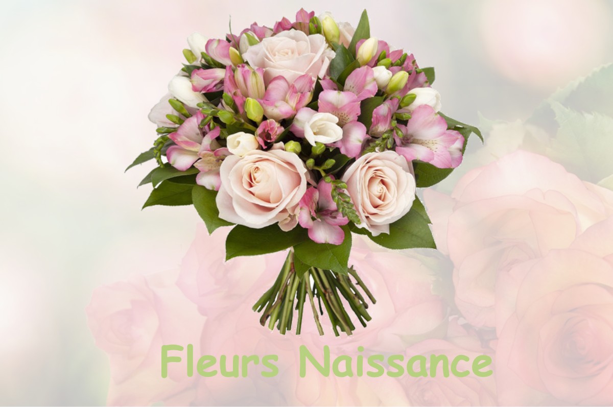 fleurs naissance VERNEUIL-GRAND