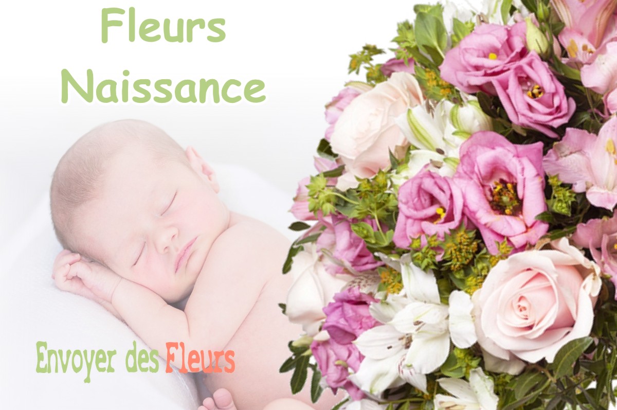 lIVRAISON FLEURS NAISSANCE à VERNEUIL-GRAND