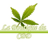 LA BOUTIQUE DU CBD VERNEUIL-GRAND 